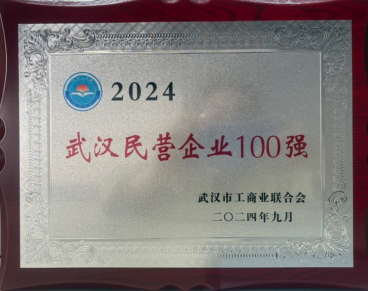 喜訊！我司連續(xù)七年入選湖北省武漢市民營百強(qiáng)榜